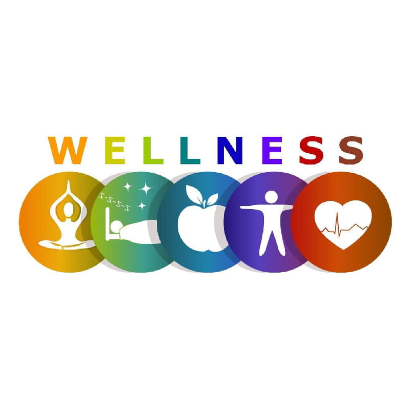All Nutrition and Wellness